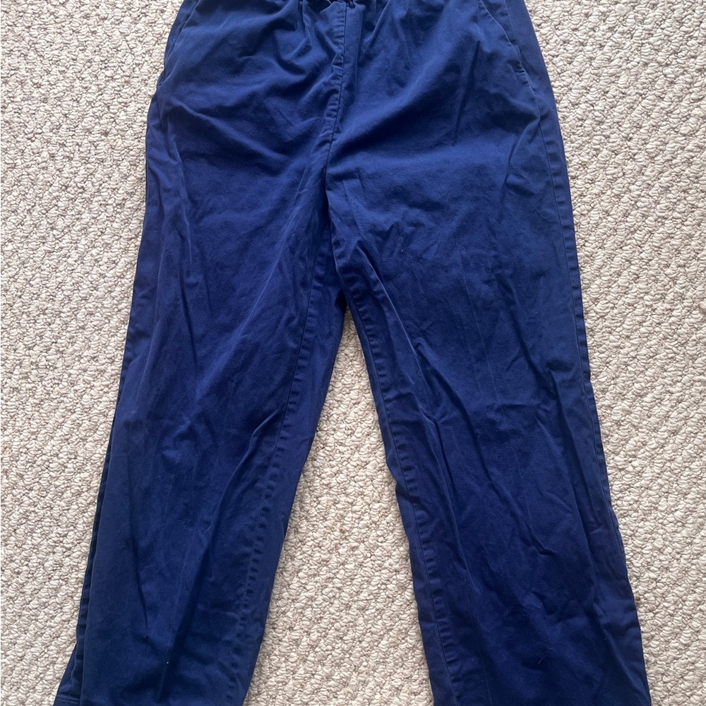 Everlane women’s Deep Blue Chinos